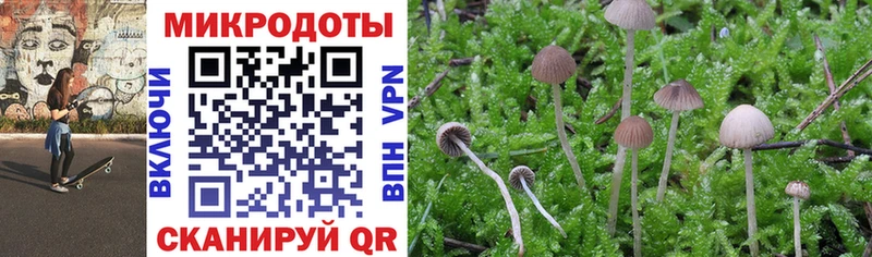 Псилоцибиновые грибы MAGIC MUSHROOMS  сколько стоит  KRAKEN вход  даркнет формула  Ряжск 
